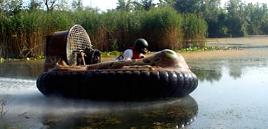 Fast bufocraft hovercraft