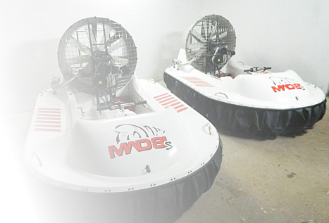 All you need is little of vitamin - Hovercraft